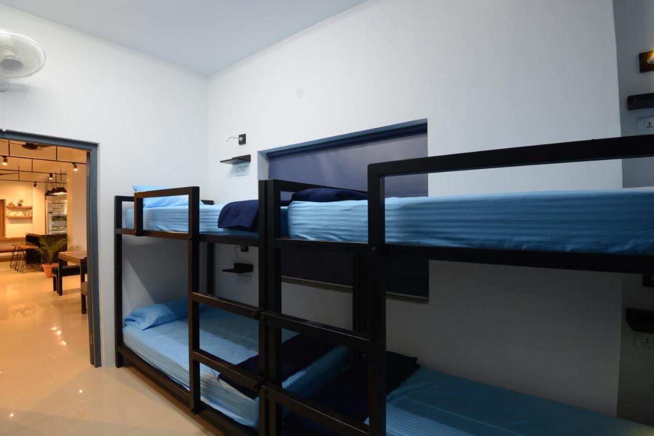 הוסטל ג'ודפור Thc Backpackers Jodhpur מראה חיצוני תמונה